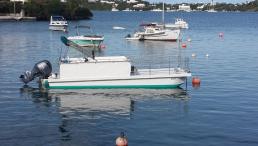 24ft Catamaran Snorkel Tour Boat - Ready for Certification