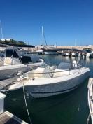 FOR SALE – 21ft Wellcraft, Bowrider