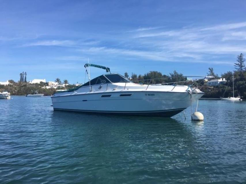 Sea Ray & Mooring in Jews Bay Southampton for Sale