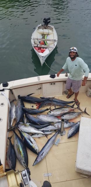 35 Henriques fishing duty paid