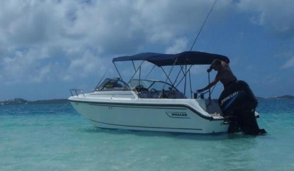 Boston Whaler 210 Ventura - 2004