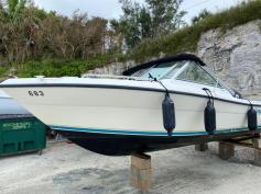 1996 Pursuit 19.5' Bowrider w/ 2-stroke Yamaha 130 4-cylinder