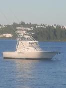 30 ft pursuit sport fisher Price Reduction