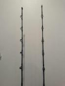 Two Penn Squall 30VSW on Shimano Tallus 30-65lb rods