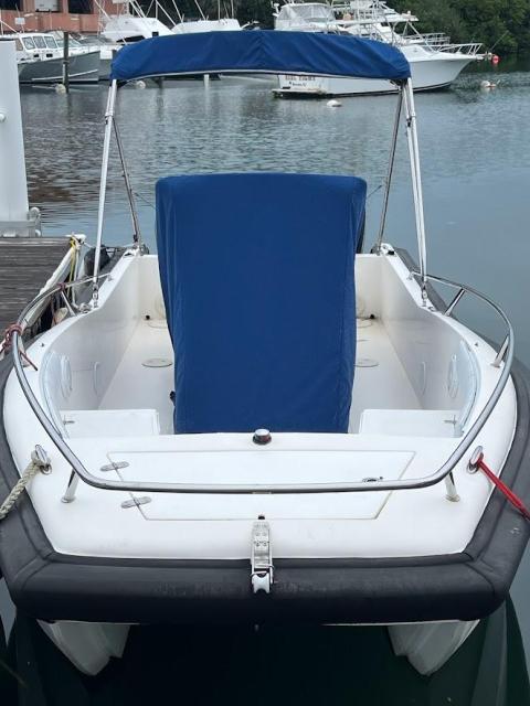 21’ powercat with hydrofoils