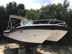 21’ powercat with hydrofoils