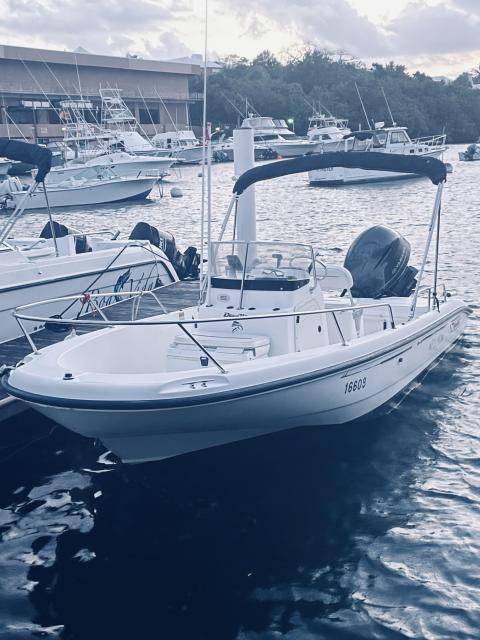 Boston Whaler Dauntless 180