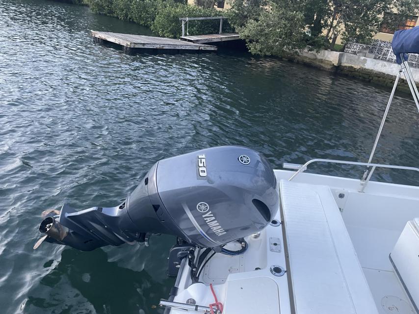 Boston Whaler Dauntless 180