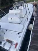 Boston Whaler Dauntless 180