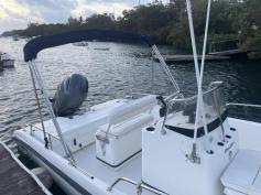 Boston Whaler Dauntless 180