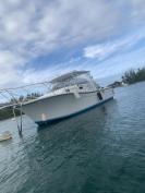 Offsounding Boat for sale