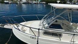 25 Foot cuddy cabin with hardtop and 225hp outboard