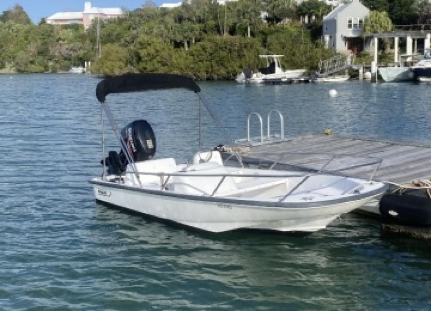 13’ Boston Whaler Sport