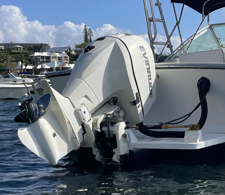 Evinrude 225