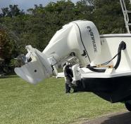 Evinrude 225