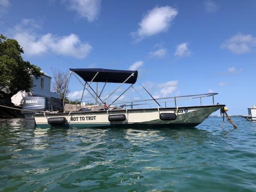 15Ft Boston Whaler