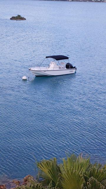 Boston Whaler