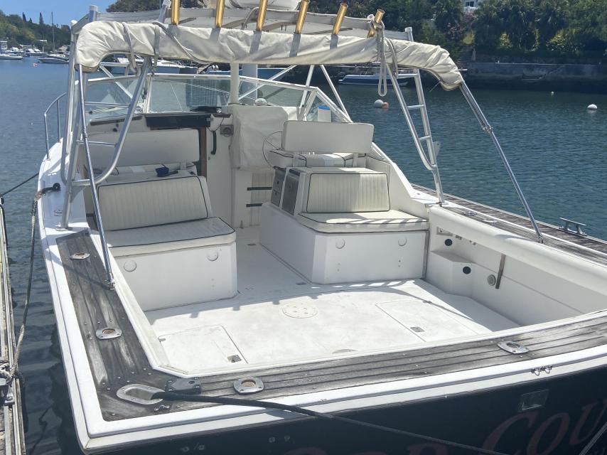 1989 Blackwatch 30' Sportfisherman