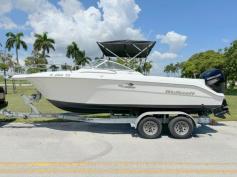 21ft Wellcraft 2020 Mercury 150 4 stroke 489hrs