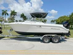 21ft Wellcraft 2020 Mercury 150 4 stroke 489hrs