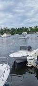 Boston Whaler