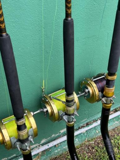 Penn International Rods & Reels