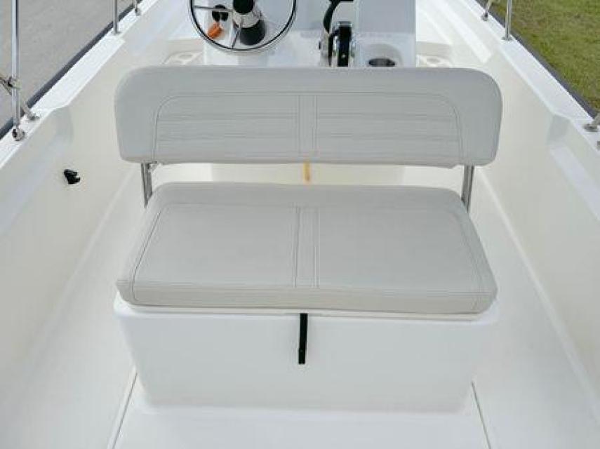 2022 17ft Boston Whaler Montauk