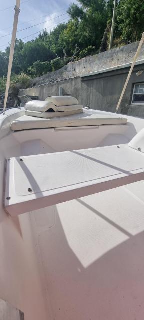 Boston Whaler