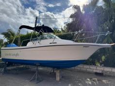 Bayliner Trophy with Mercury Four Stroke