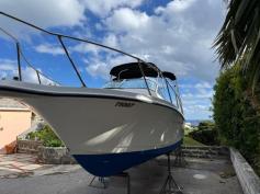 Bayliner Trophy with Mercury Four Stroke