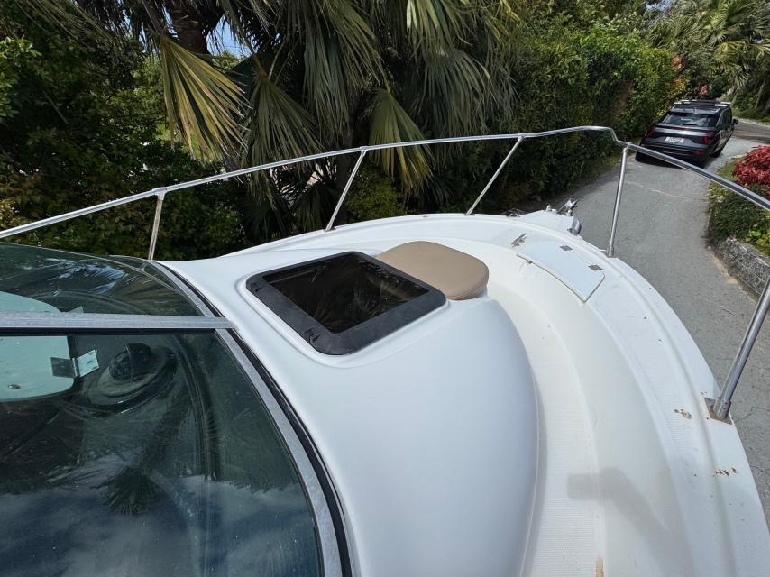 Bayliner Trophy with Mercury Four Stroke