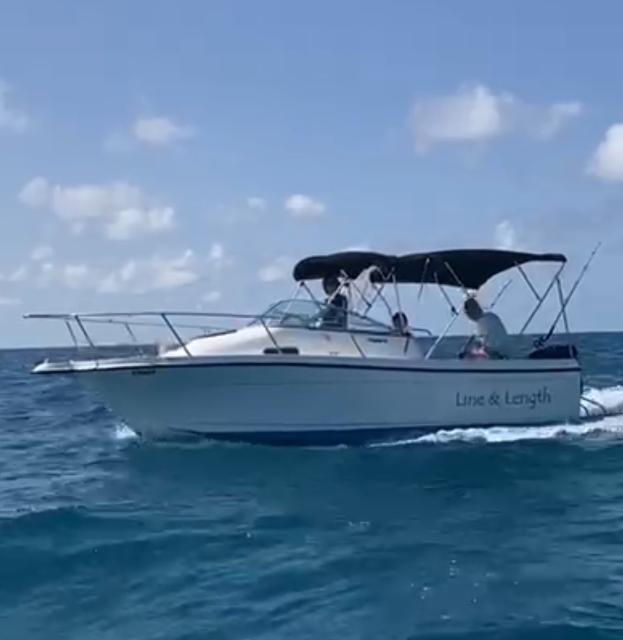Bayliner Trophy with Mercury Four Stroke