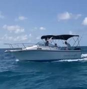 Bayliner Trophy with Mercury Four Stroke