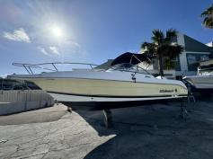 Ready for Summer - Wellcraft Dual Console