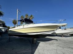 Ready for Summer - Wellcraft Dual Console