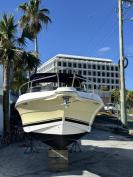 Ready for Summer - Wellcraft Dual Console