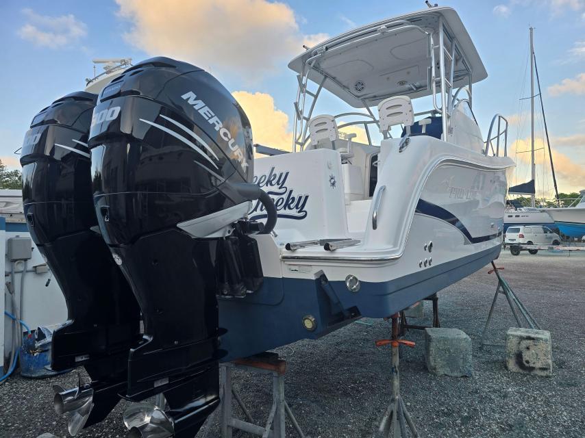 2007 29’ Proline Express