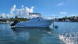2007 29’ Proline Express