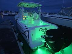 2007 29’ Proline Express