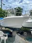 Wellcraft 24ft