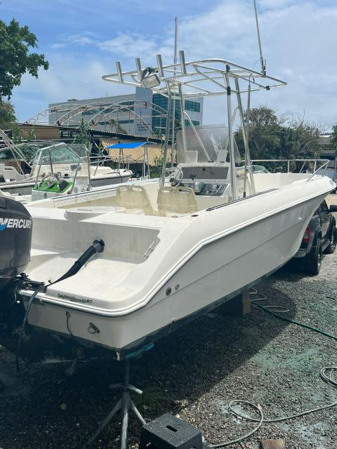 Wellcraft 24ft