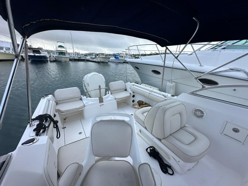 Ready for Summer - Wellcraft Dual Console