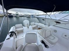 Ready for Summer - Wellcraft Dual Console