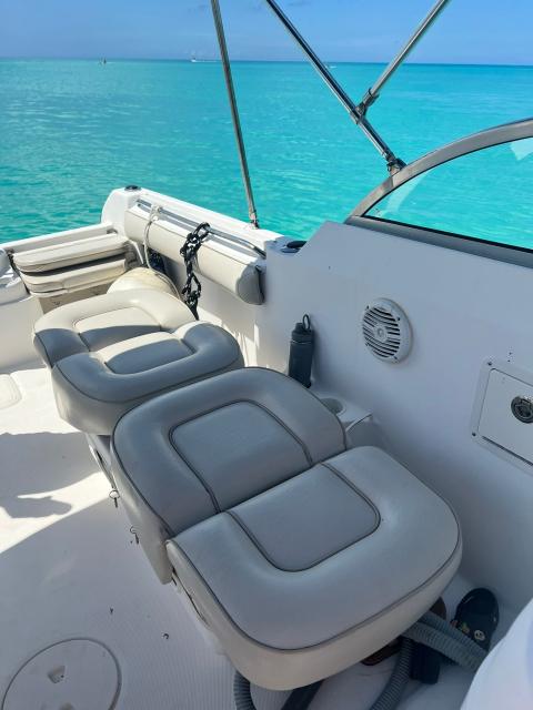 Ready for Summer - Wellcraft Dual Console