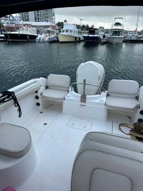 Ready for Summer - Wellcraft Dual Console