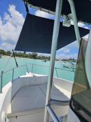 Century 22 Hard top