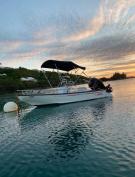 13ft Boston Whaler