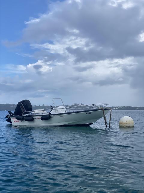13ft Boston Whaler