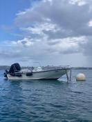 13ft Boston Whaler