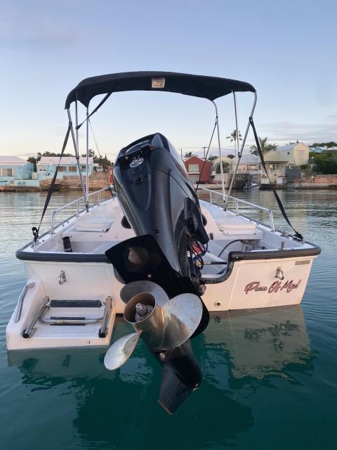 13ft Boston Whaler